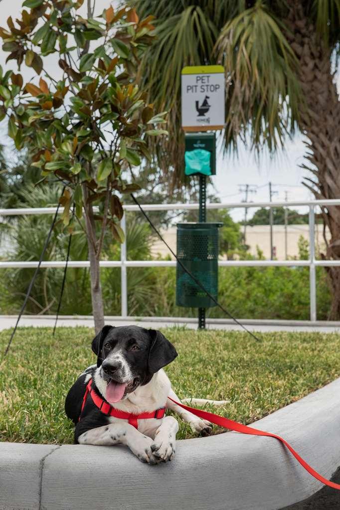 Home2 Suites By Hilton Tampa Westshore Airport Bagian luar foto